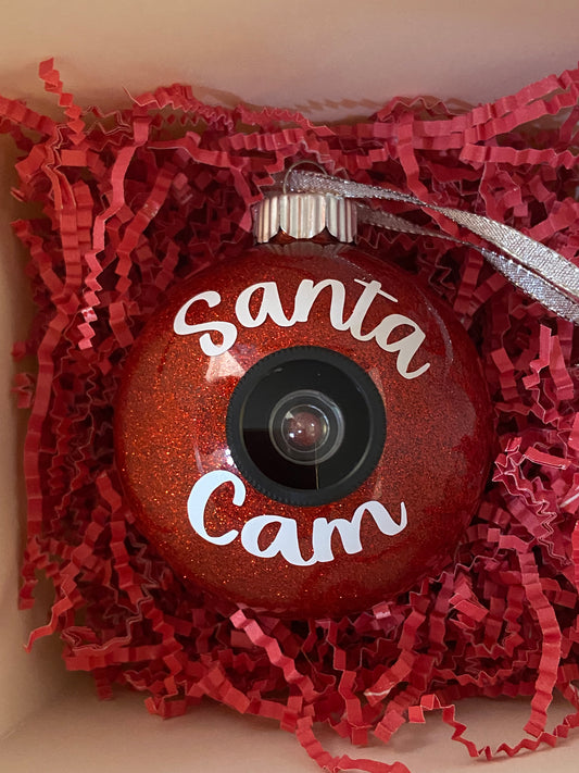 Santa Cam Ornament and Letter